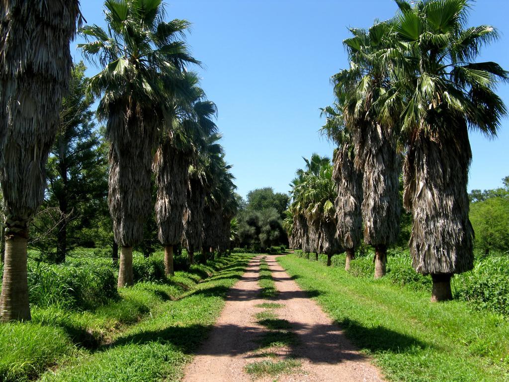 Las Curiosas Villa Avia Terai Εξωτερικό φωτογραφία