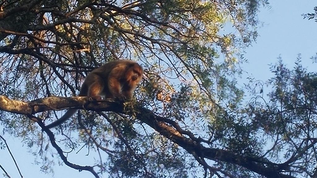 Las Curiosas Villa Avia Terai Εξωτερικό φωτογραφία