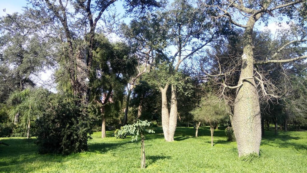 Las Curiosas Villa Avia Terai Εξωτερικό φωτογραφία